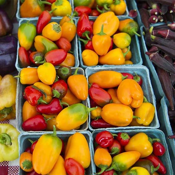 Various colorful peppers