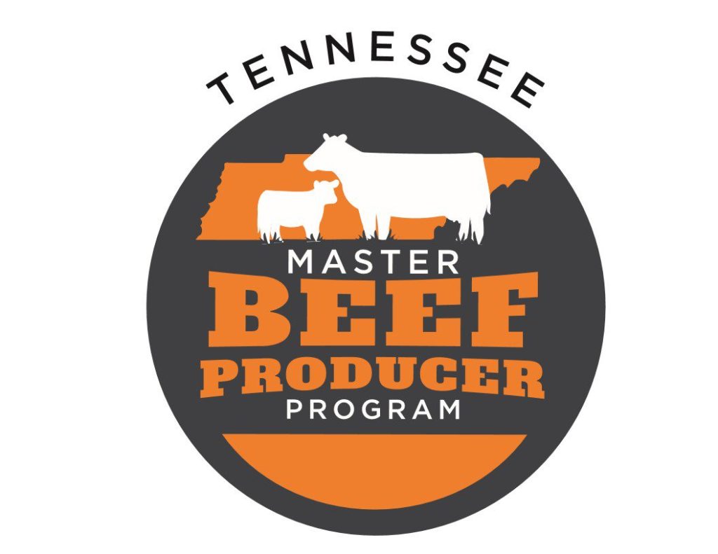 2020 Master Beef Logo